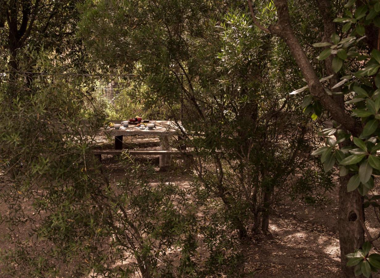 Nel Giardino Dei Pesci Volanti Holiday home San Pantaleo